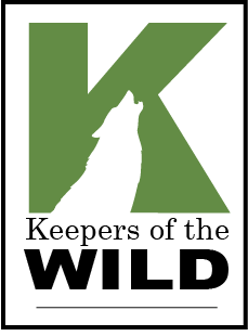 <b>Keepers of the Wild Logo</b><br><i>Created using Illustrator.</i><br>This simple but memorable logo was designed along with a website and UI kit as part of a full branding kit.